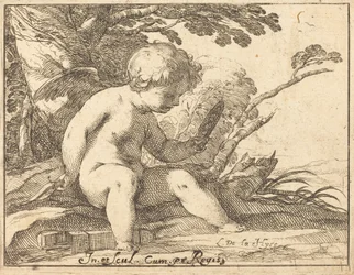 Cupid Looking in a Mirror