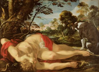 Dead Adonis