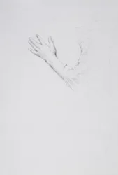 Study of a left Hand and Arm