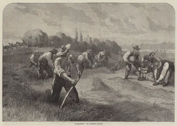 Haymakers