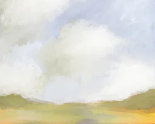 The Plateau