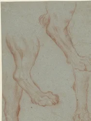 Study Sheet with Two Lion Paws