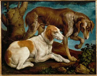 Two hunting dogs tied to a tree-stump