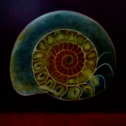 Green Ammonite, 2020