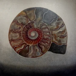 Silver Ammonite