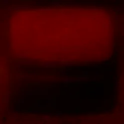 Velvet and Fire