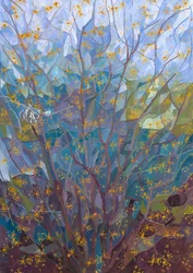 Witch Hazel in Flower, 2015