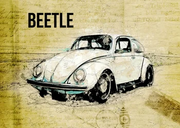 Vintage Beetle Sketch