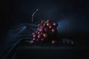 Rich Purple Grapes