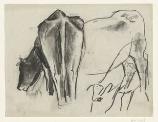 Three Cows