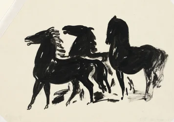 Three Black Horses Standing and Looking Left
