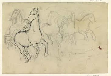 Galloping Horses