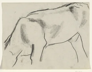 Grazing Cow