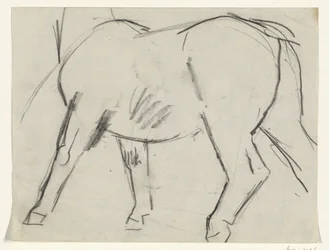 Body of a Horse