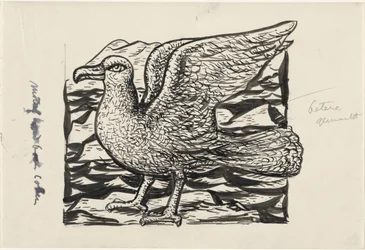 Seagull