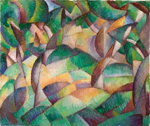 Olive Grove, Mallorca