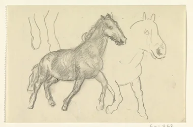 Two Walking Horses