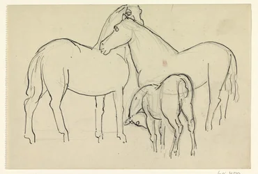 Two Horses and a Foal