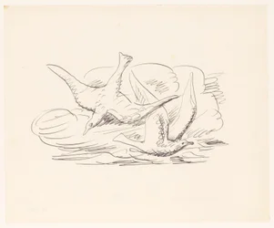 Two Seagulls