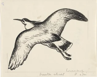 Flying Bird