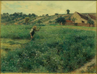 Mower in the Lucerne Field