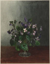 Bouquet of Violets