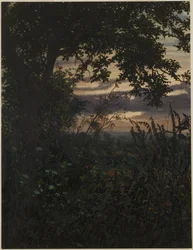Landscape at Sunset