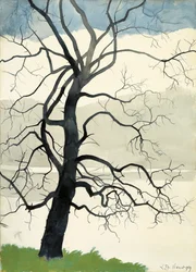 Solitary Tree at the Edge of the Pond