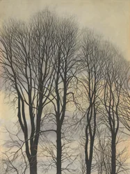 Tree in the Sky