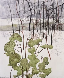 Winter Landscape