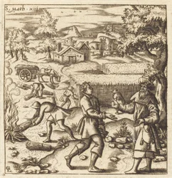 Parable of Weeds in the Wheat