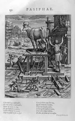 Pasiphae, mother of the Minotaur