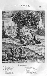 Pentheus