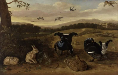 Black grouse, rabbits and swallows in a park, c. 1700