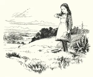 Lady Bird, Lady Bird, Fly Away Home