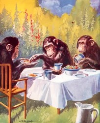 A Chimpanzee Tea Party
