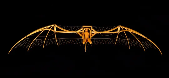 Model of Leonardo da Vinci