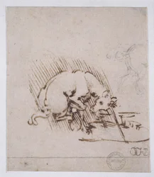 A Unicorn Dipping its Horn into a Pool of Water, c.1481