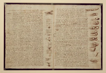 A Page from the Codex Leicester, 1508-12