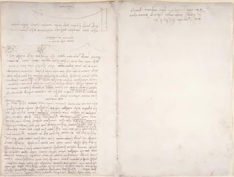 Notes and Diagrams on the Flight of Birds, from 