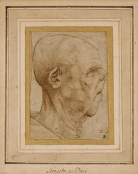 Caricature of the Head of an Old Man, in Profile to the Right, c.1507