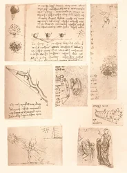 Five Drawings Illustrating the Elements of Landscape Painting