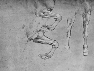 Four Studies of Horses Legs