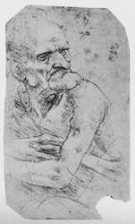 Half-Length Caricature of an Old Man with a Prominent Chin, c1480 1945