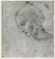 Head of a Young Woman or Head of the Virgin, c.1490