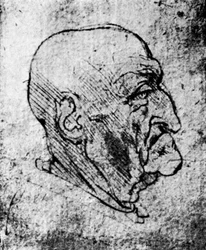 Head of an Old Man, 1913