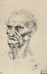 Head of an Old Man Three-Quarters to the Left, c1480, 1945