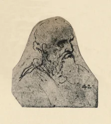 Head of an Old Man Turned to the Right