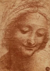Head of the Woman or of Saint Anne, Drawing by Leonardo da Vinci