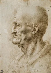 Head Study of an Old Man